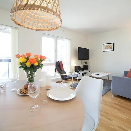 Bjorvika Apartments, Damsgard Area, Center *