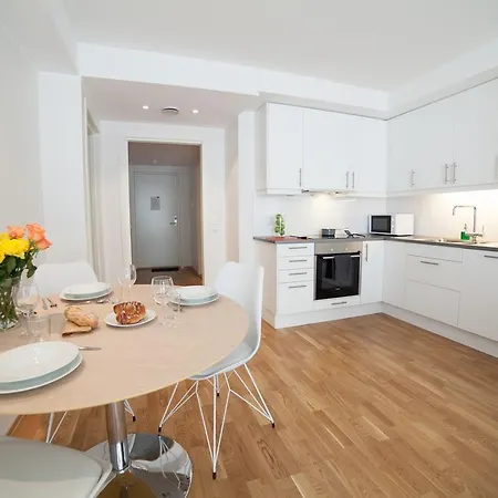 Bjorvika Apartments, Damsgard Area, Center *