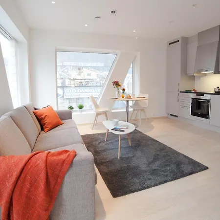 Bjorvika Apartments, Damsgard Area, Center *